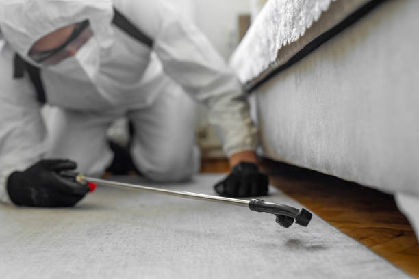 Professional Cockroach Control technician working in Crystal City, MO