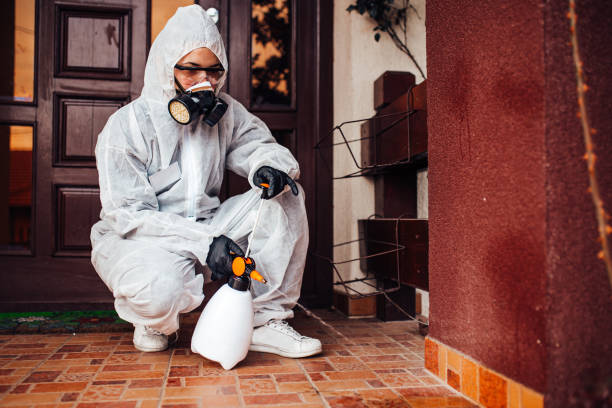 Reliable Cockroach Control contractor in Crystal City, MO by Nex Pest Control