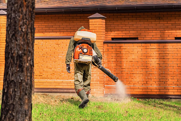 Trusted Cockroach Control service in Crystal City, MO - Nex Pest Control